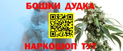 прущие грибы Будённовск