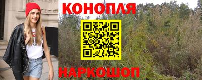 прущие грибы Будённовск