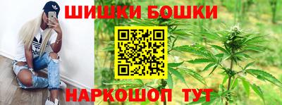 прущие грибы Будённовск