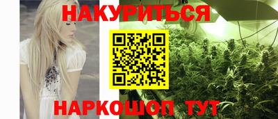прущие грибы Будённовск