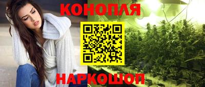 прущие грибы Будённовск
