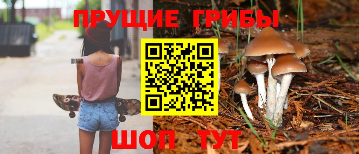 Саров  Галлюциногенные грибы прущие грибы  Вход с VPN 
